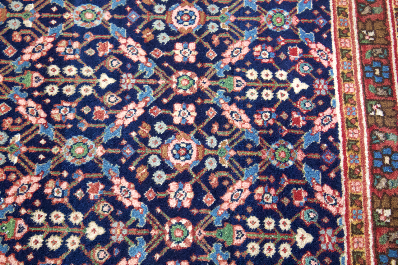 Sarouk rug close-up of navy patterned field with small rosettes and a red inner border.