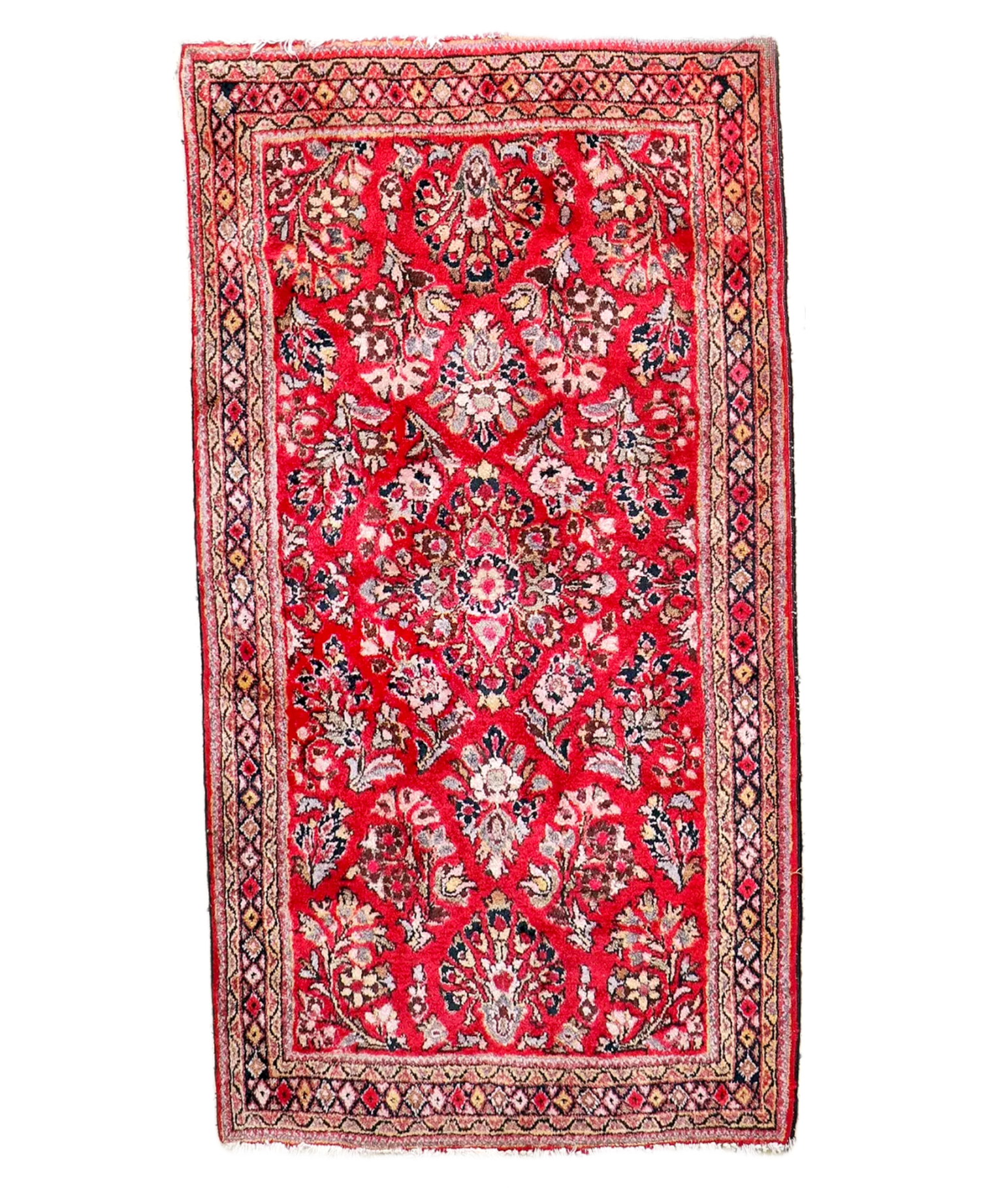 Persian Sarouk rug on white background, red field with ornate cream floral medallions.