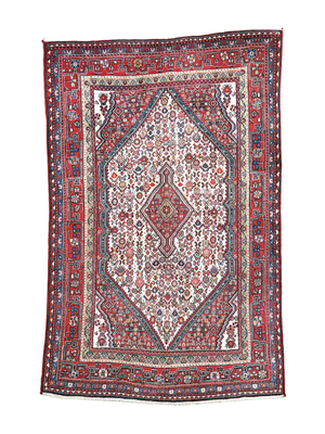 Persian Sarouk Rug | 4' 2" x 6' 5"