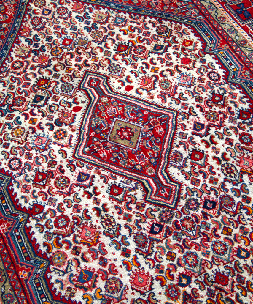 Persian-style Sarouk rug with red field, cream medallion, and blue geometric border