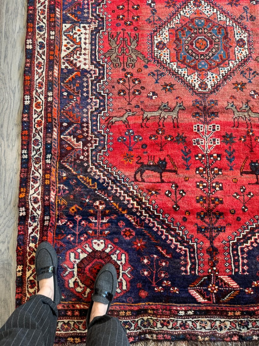 Persian Shiraz Rug | 5' 5" x 8' 2" - Rug the Rock