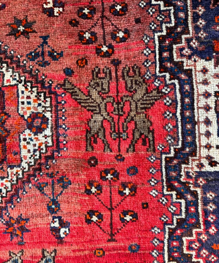 Persian Shiraz rug close-up, red field with navy and white lattice border motifs