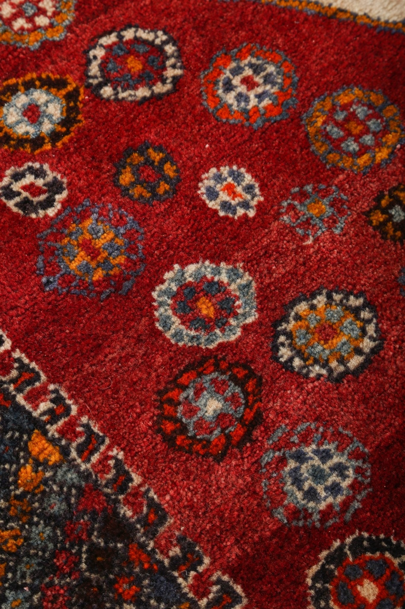 Persian Shiraz Rug | 5' 8" x 6' 10" - Rug the Rock - 
