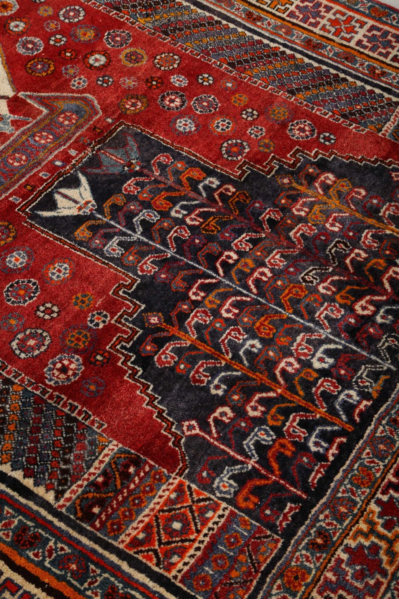 Persian Shiraz Rug | 5' 8" x 6' 10" - Rug the Rock - 