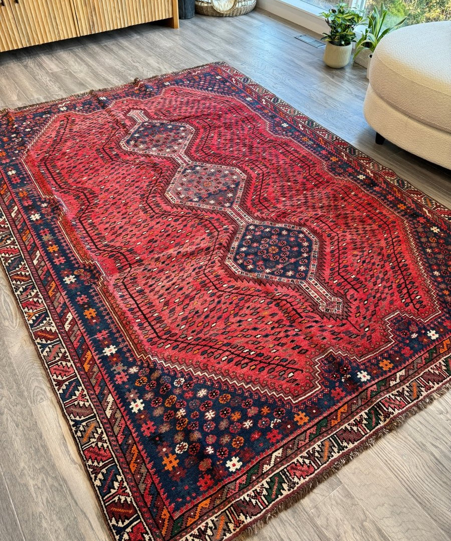 Red Persian rug with navy border, central diamond medallion and small rosettes