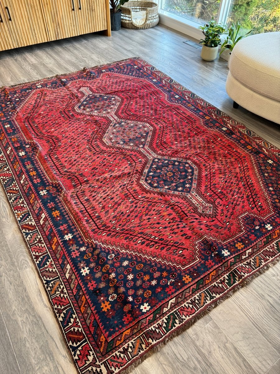 Persian Shiraz Rug | 6' 1" x 8' 6" - Rug the Rock