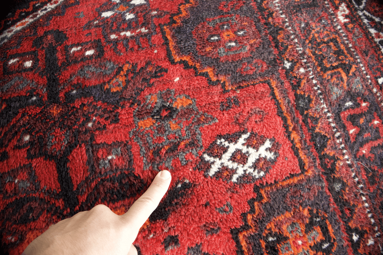 Persian Shiraz Rug | 7' 1" x 11' - Rug the Rock - available