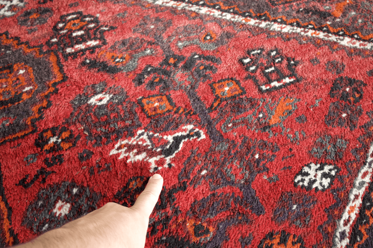 Persian Shiraz rug close-up with red motifs, gray accents, and white corner pattern.