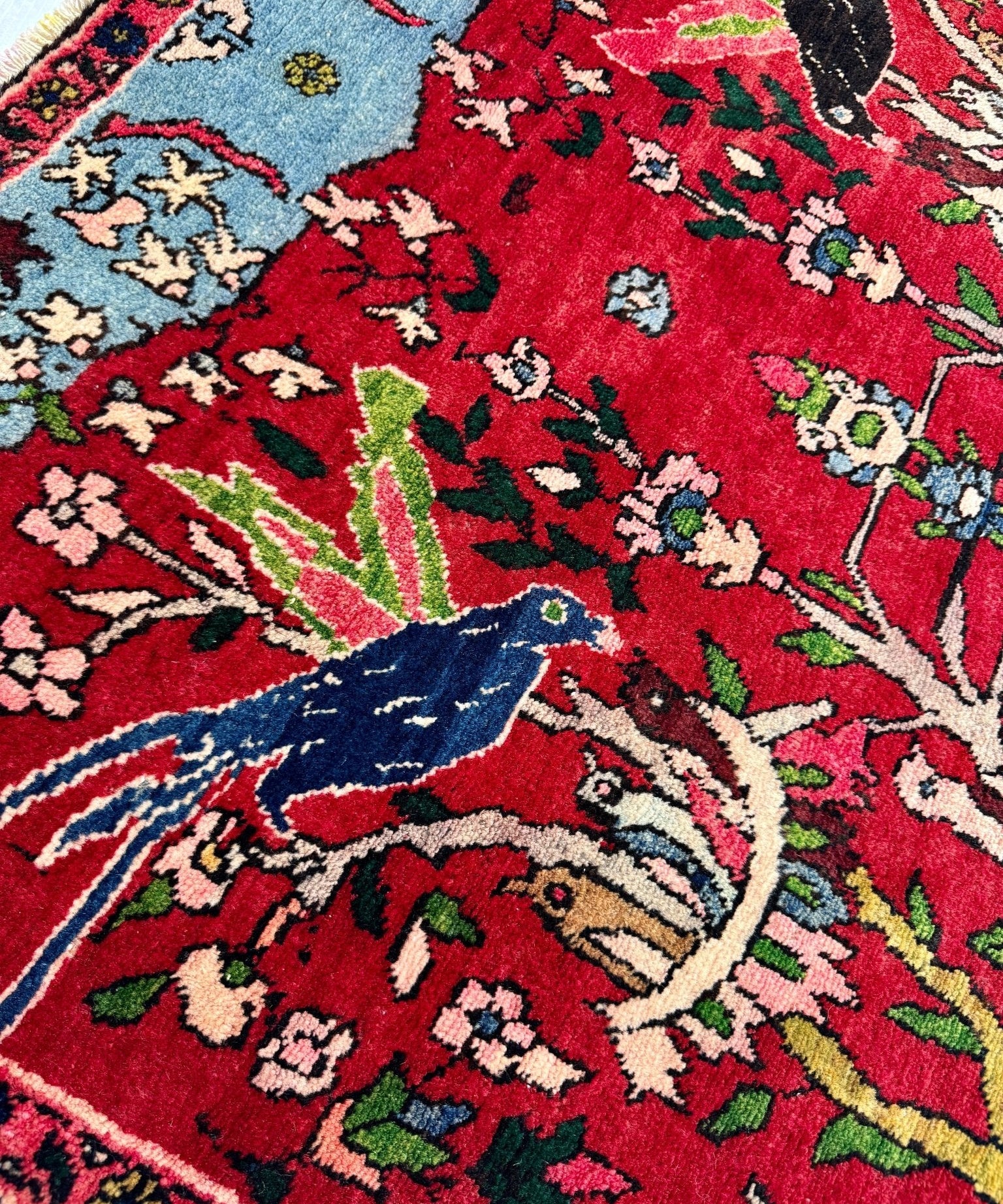 Close-up Persian Tabriz-style rug: red field with blue birds, green leaves, and floral blooms.