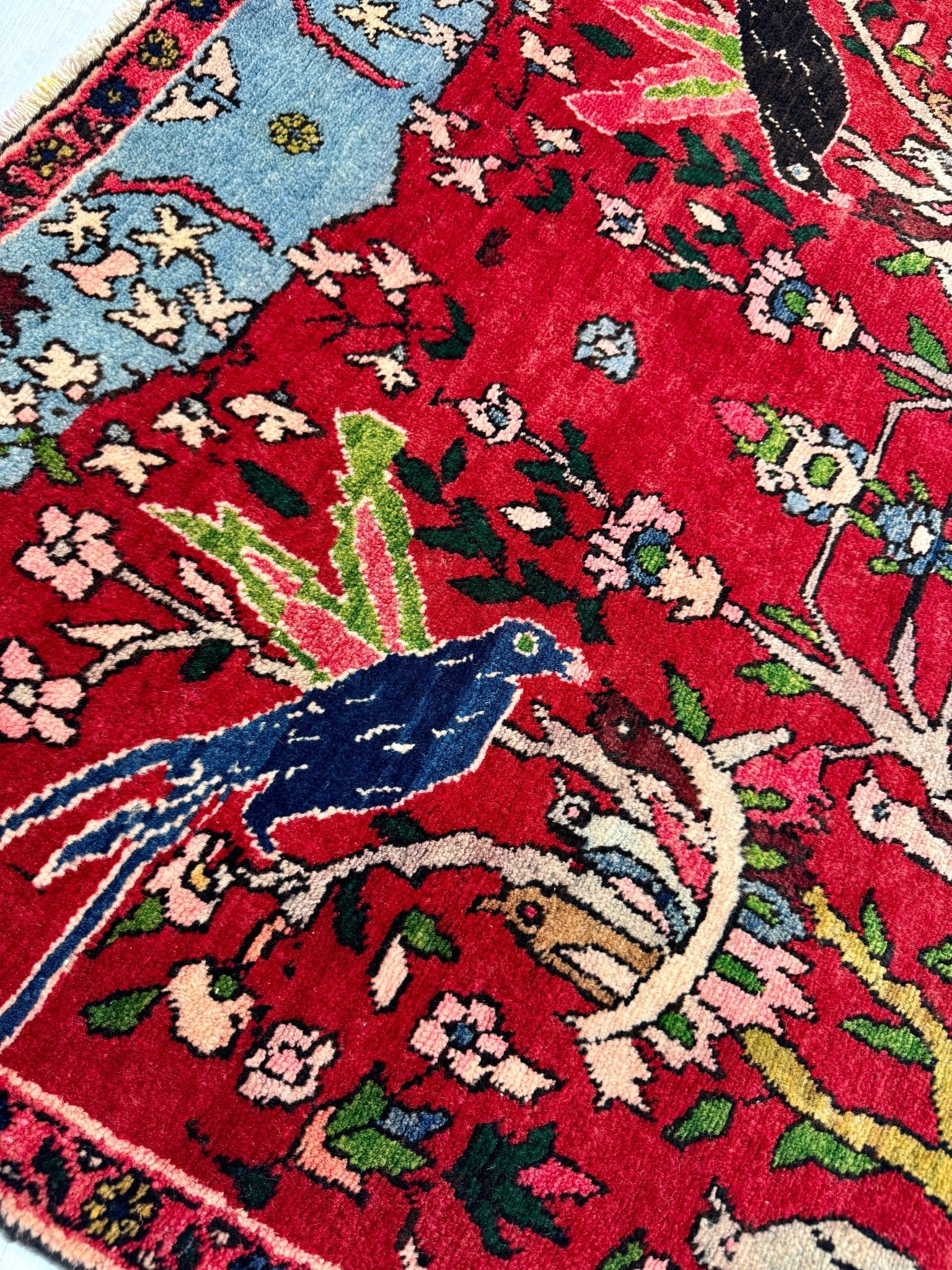 Persian Tabriz Rug | 3' 2” x 5' 11" - Rug the Rock - Small Rugs < 3' x 5'