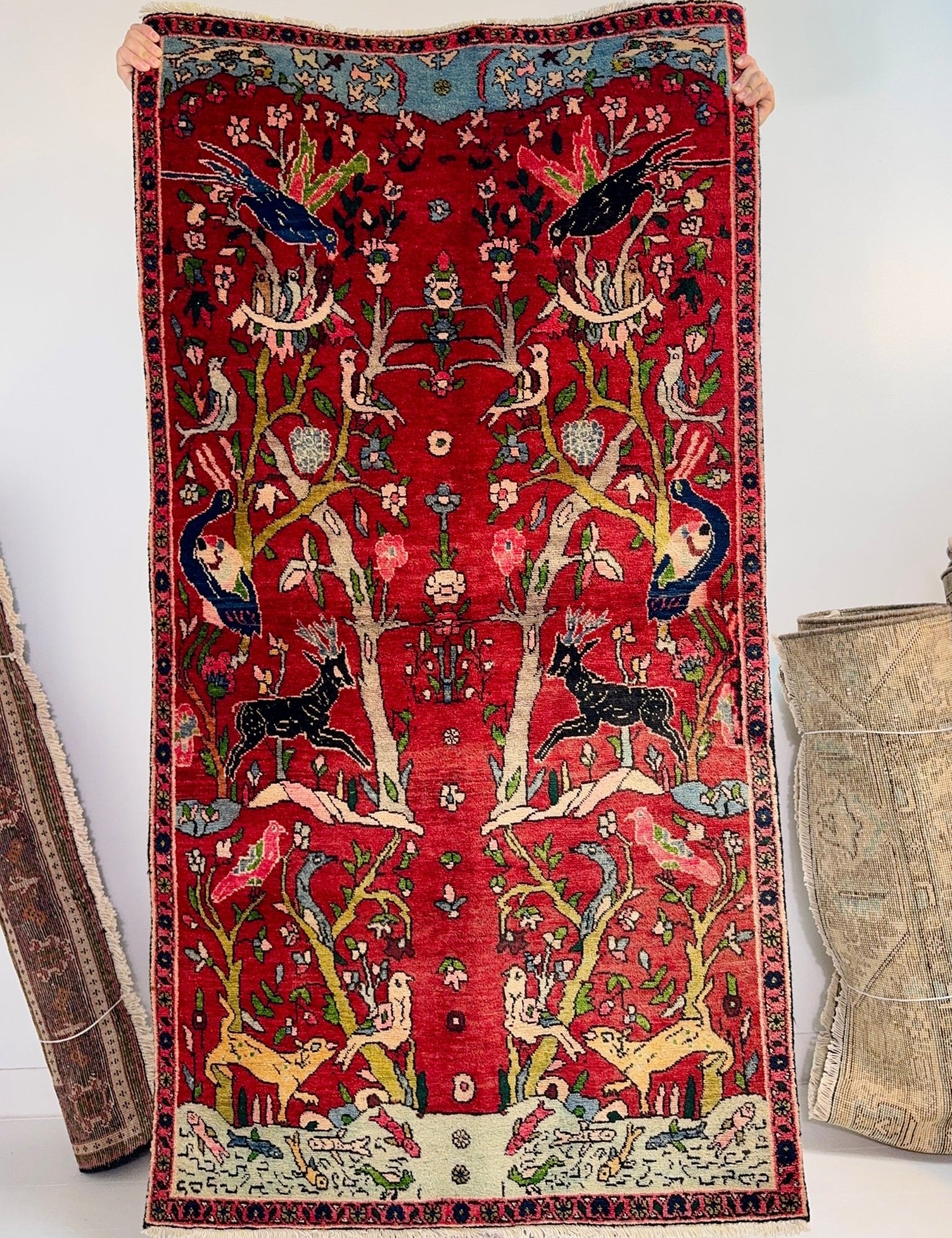 Persian Tabriz Rug | 3' 2” x 5' 11" - Rug the Rock - Small Rugs < 3' x 5'