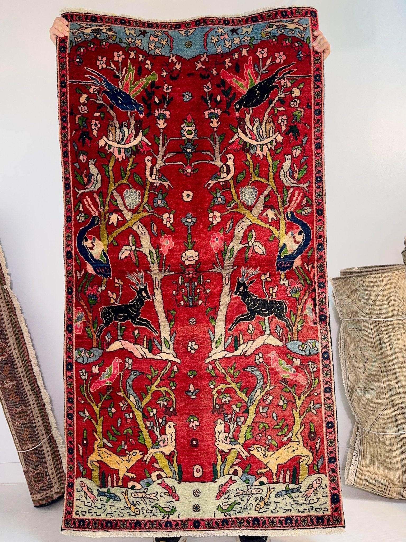Persian Tabriz Rug | 3' 2” x 5' 11" - Rug the Rock - Small Rugs < 3' x 5'