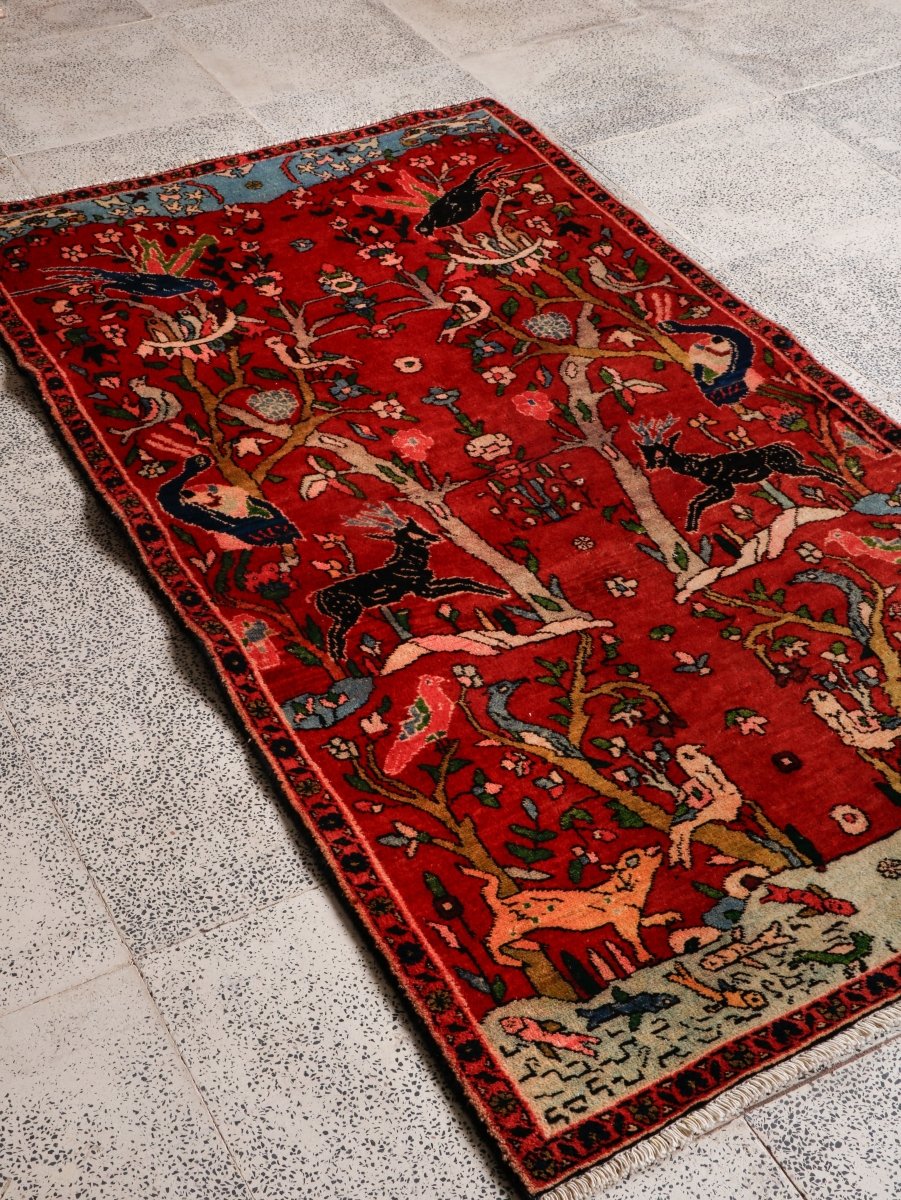 Persian Tabriz Rug | 3' 2” x 5' 11" - Rug the Rock - 