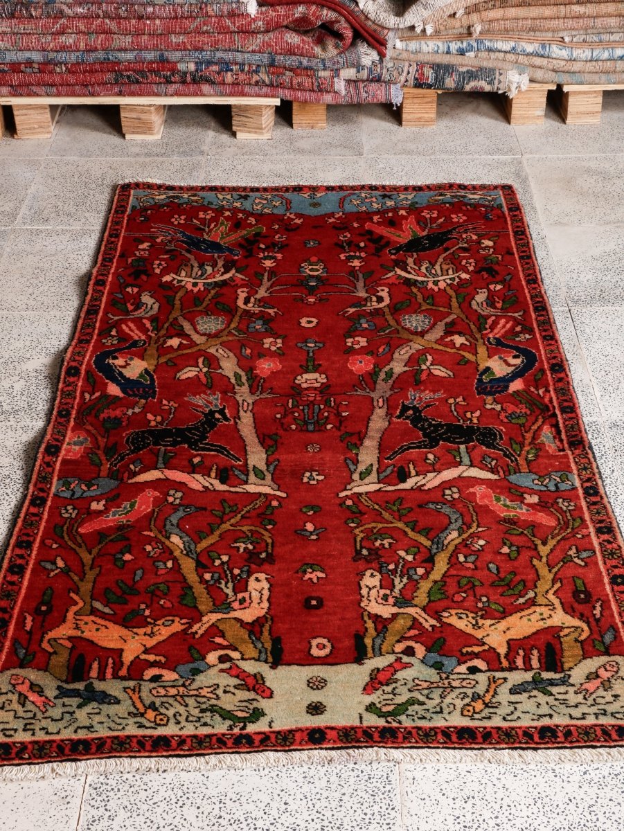 Persian Tabriz Rug | 3' 2” x 5' 11" - Rug the Rock - 