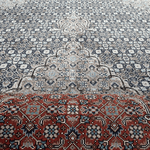 Blue and cream geometric area rug with central medallion; red fringe visible at edge.