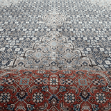Blue and cream geometric area rug with central medallion; red fringe visible at edge.