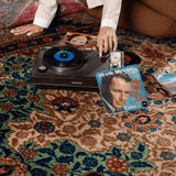 Persian Tabriz Rug | 9' 5" x 12' 8" - Rug the Rock - 