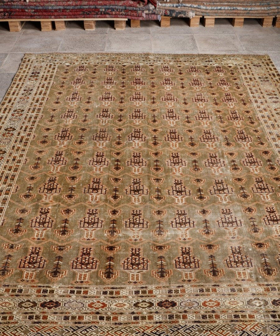 Persian Turkmen rug with light olive field, cream accents, and geometric rust patterns