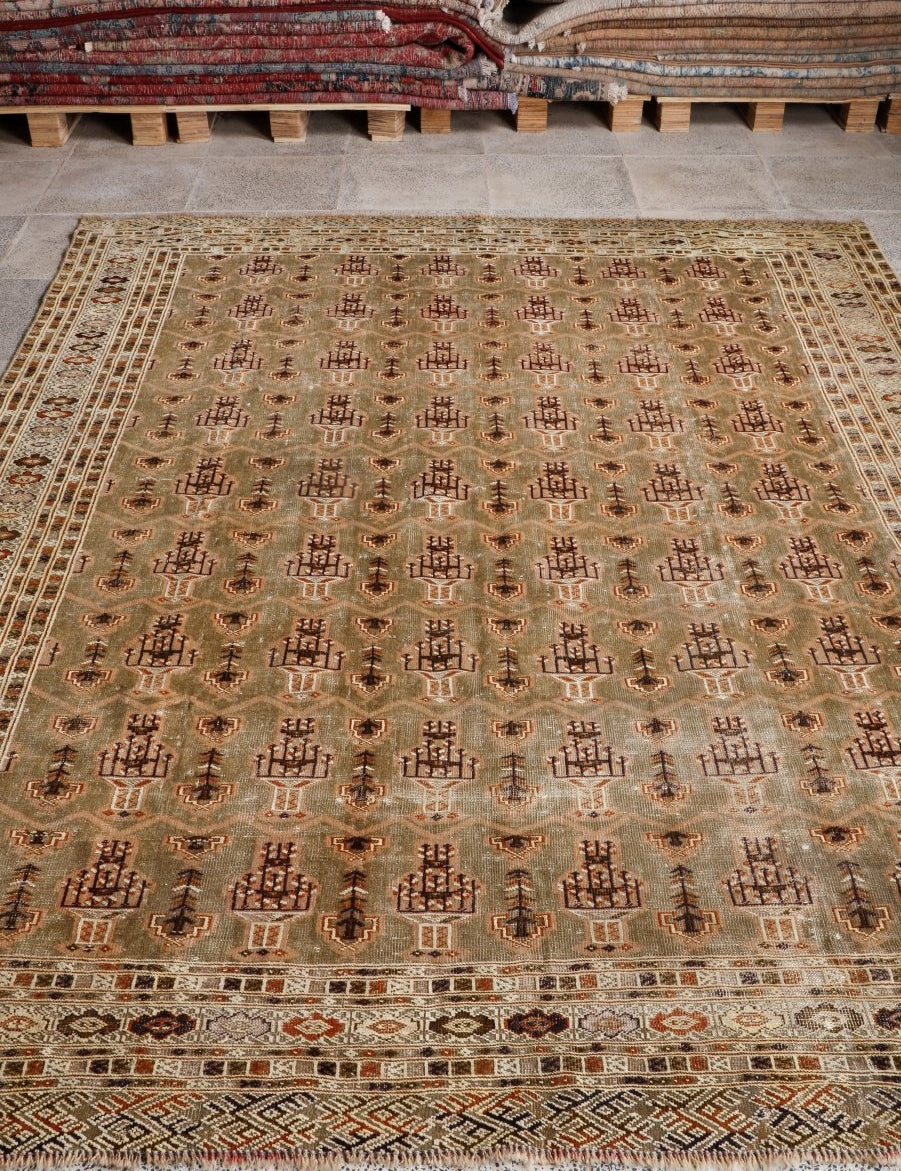 Persian Turkmen Rug | 6' 7” x 8' 4" - Rug the Rock - 