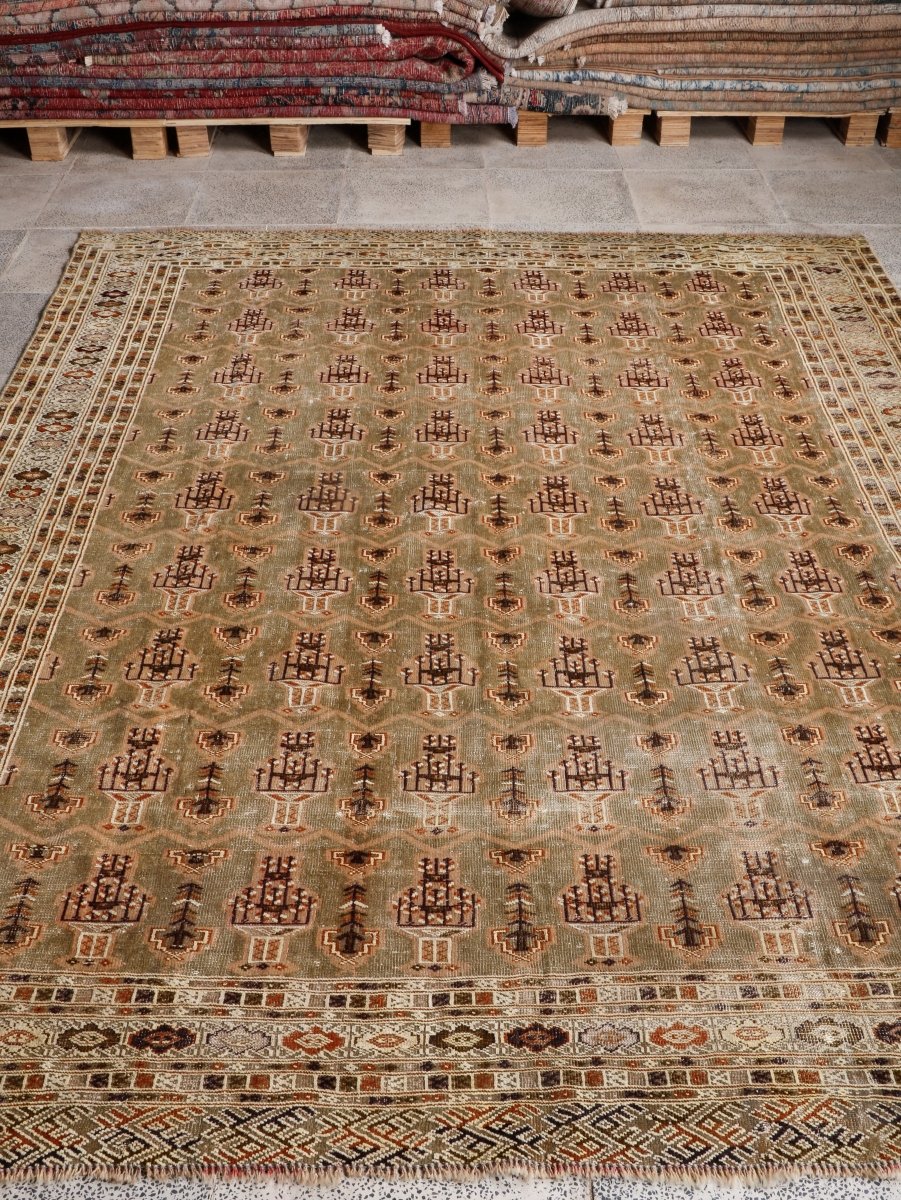 Persian Turkmen Rug | 6' 7” x 8' 4" - Rug the Rock - 