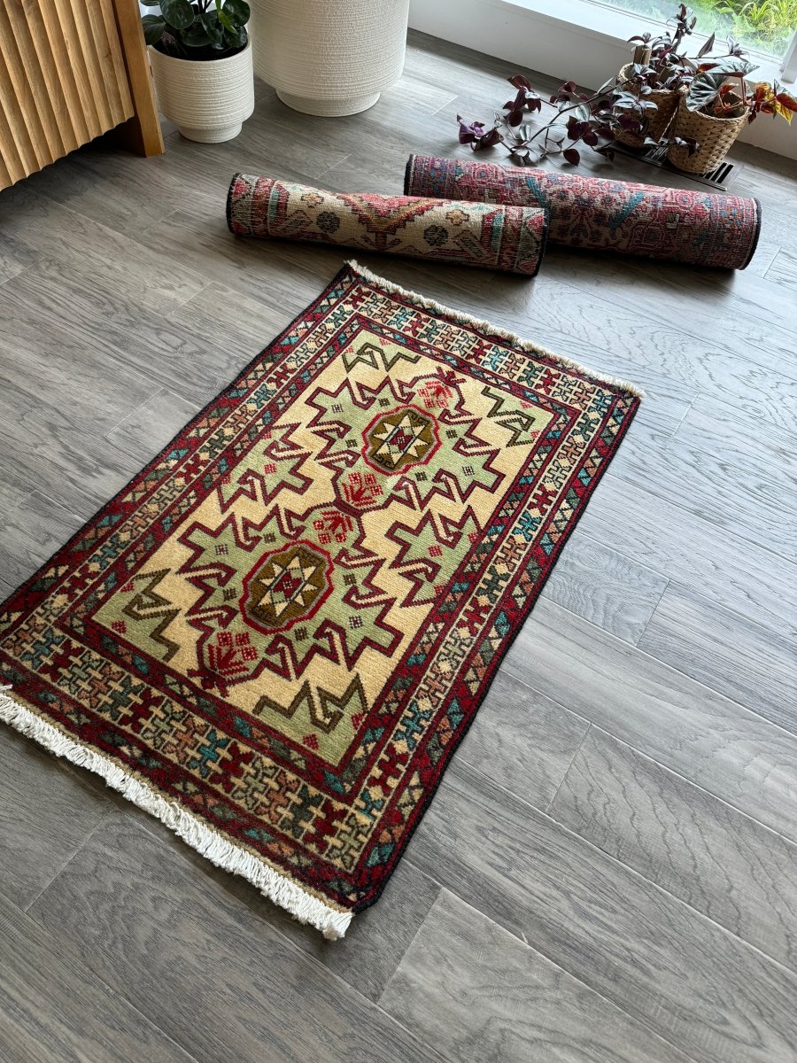 Persian Turkomana Rug | 1' 11" x 2' 11" - Rug the Rock