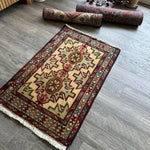 Persian Turkomana Rug | 1' 11" x 2' 11" - Rug the Rock