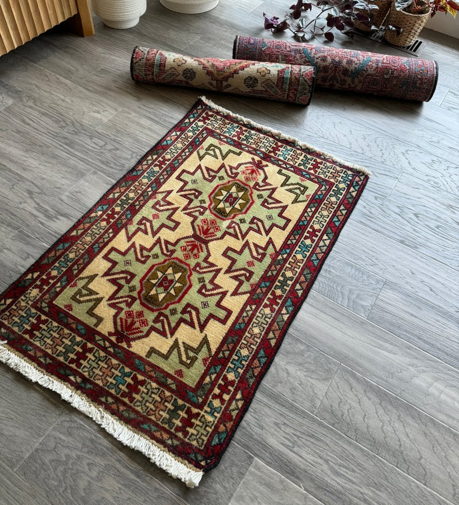 Persian Turkomana Rug | 1' 11" x 2' 11" - Rug the Rock