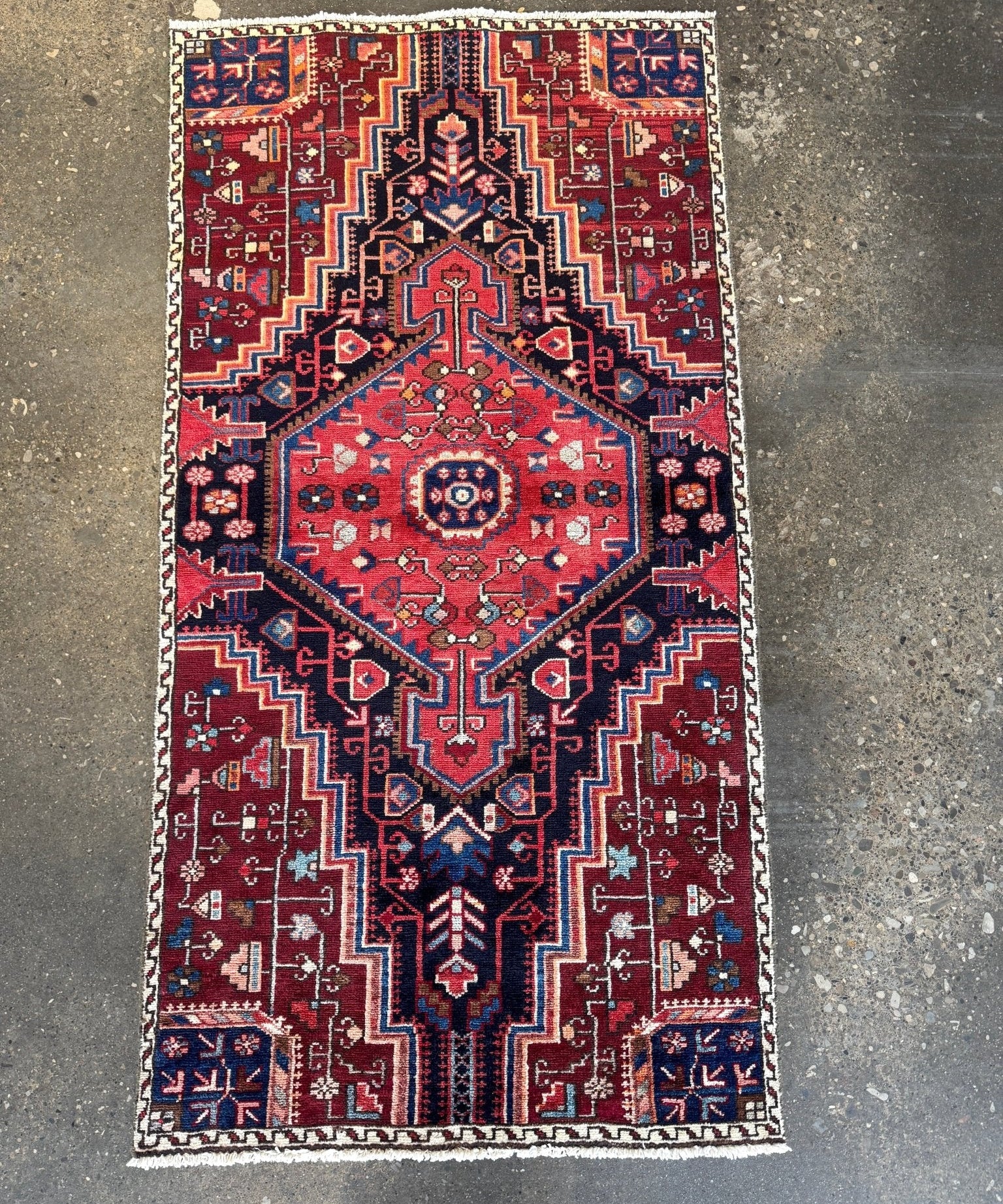 Persian rug with red field, navy geometric border, central medallion and motifs
