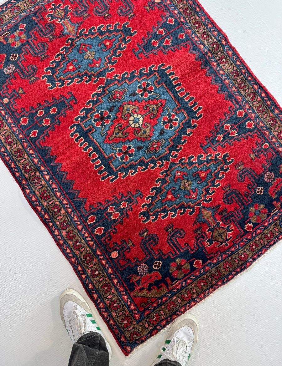 Persian Viss Rug | 3' 7” x 4' 11" - Rug the Rock - 
