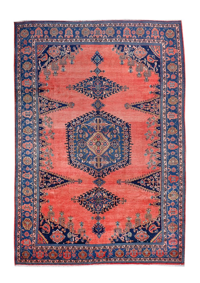 Persian Viss Rug | 7' 9” x 11' 6" - Rug the Rock - 