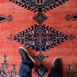 Persian Viss Rug | 7' 9” x 11' 6" - Rug the Rock - 