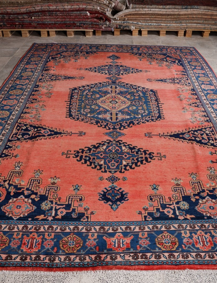 Persian Viss Rug | 7' 9” x 11' 6" - Rug the Rock - 