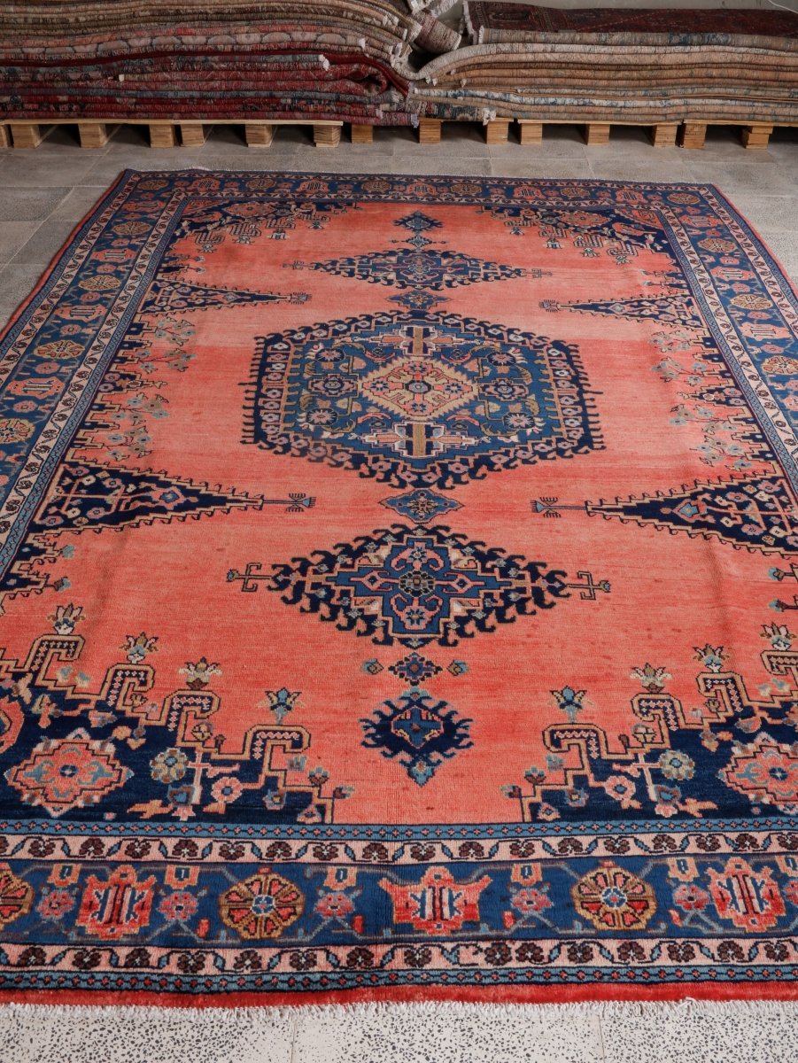 Persian Viss Rug | 7' 9” x 11' 6" - Rug the Rock - 