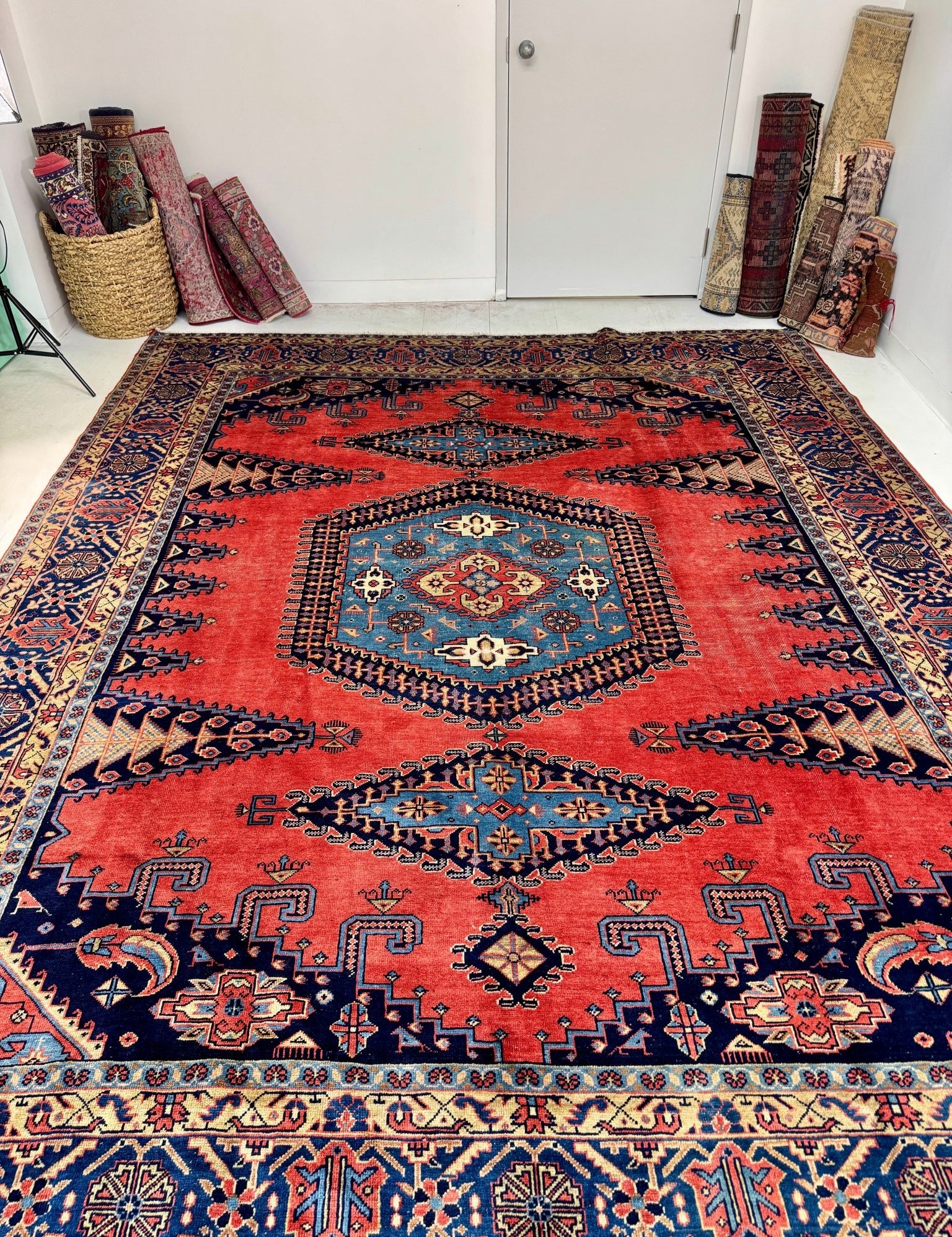 Persian Viss Rug | 9' 6” x 11' 11" - Rug the Rock - 