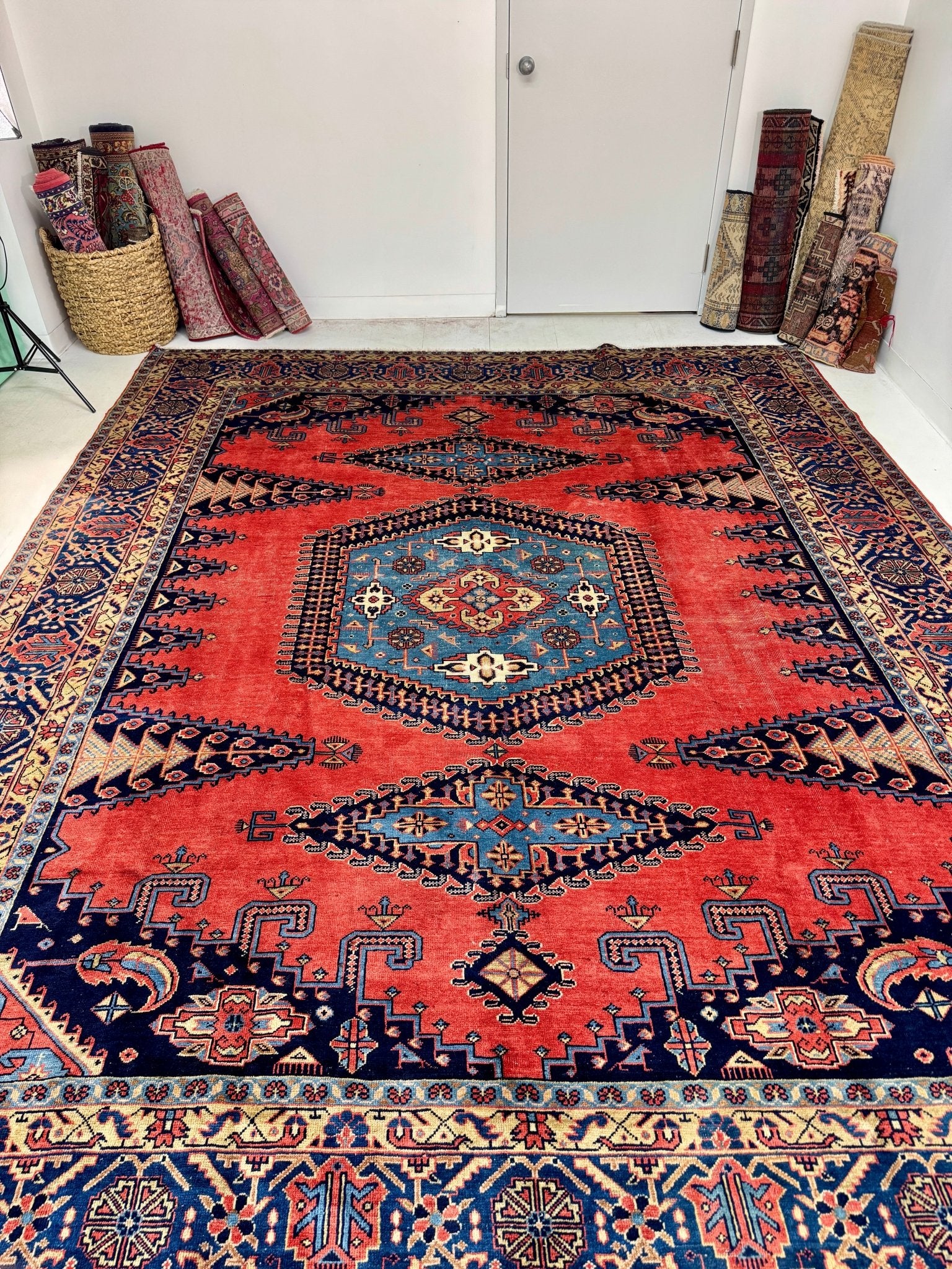 Persian Viss Rug | 9' 6” x 11' 11" - Rug the Rock - 