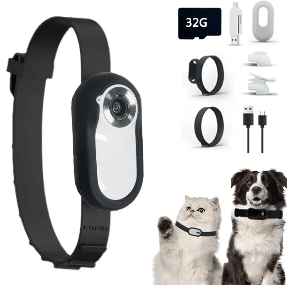 Pet Collar Camera - Rug the Rock - sold