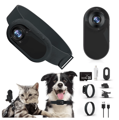 Pet Collar Camera - Rug the Rock - sold