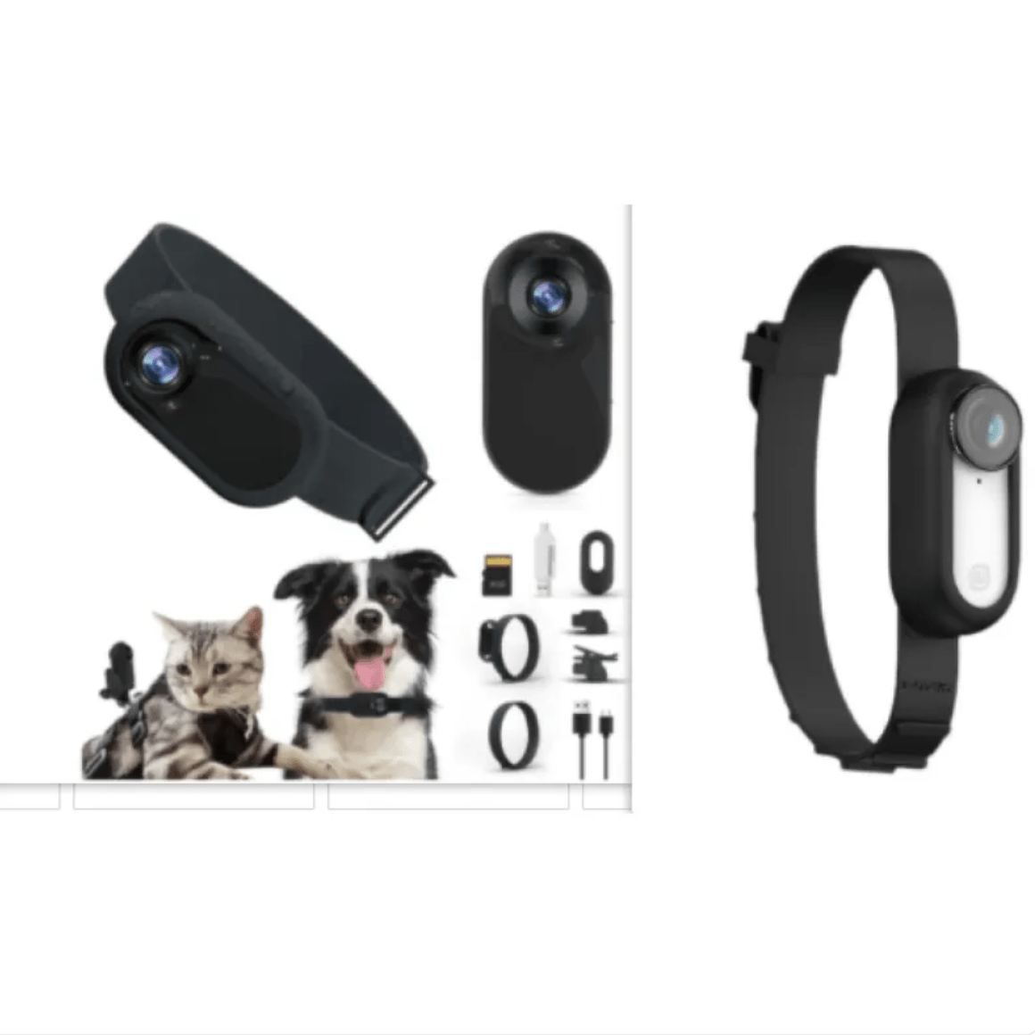 Pet Collar Camera - Rug the Rock - sold