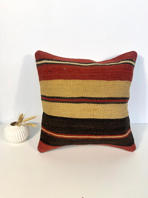 Pillow No. 009 | 16" x 16"