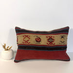 Pillow No. 013 | 12" x 18" Rug the Rock