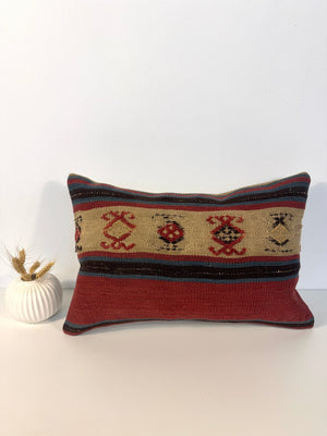 Pillow No. 013 | 12" x 18"