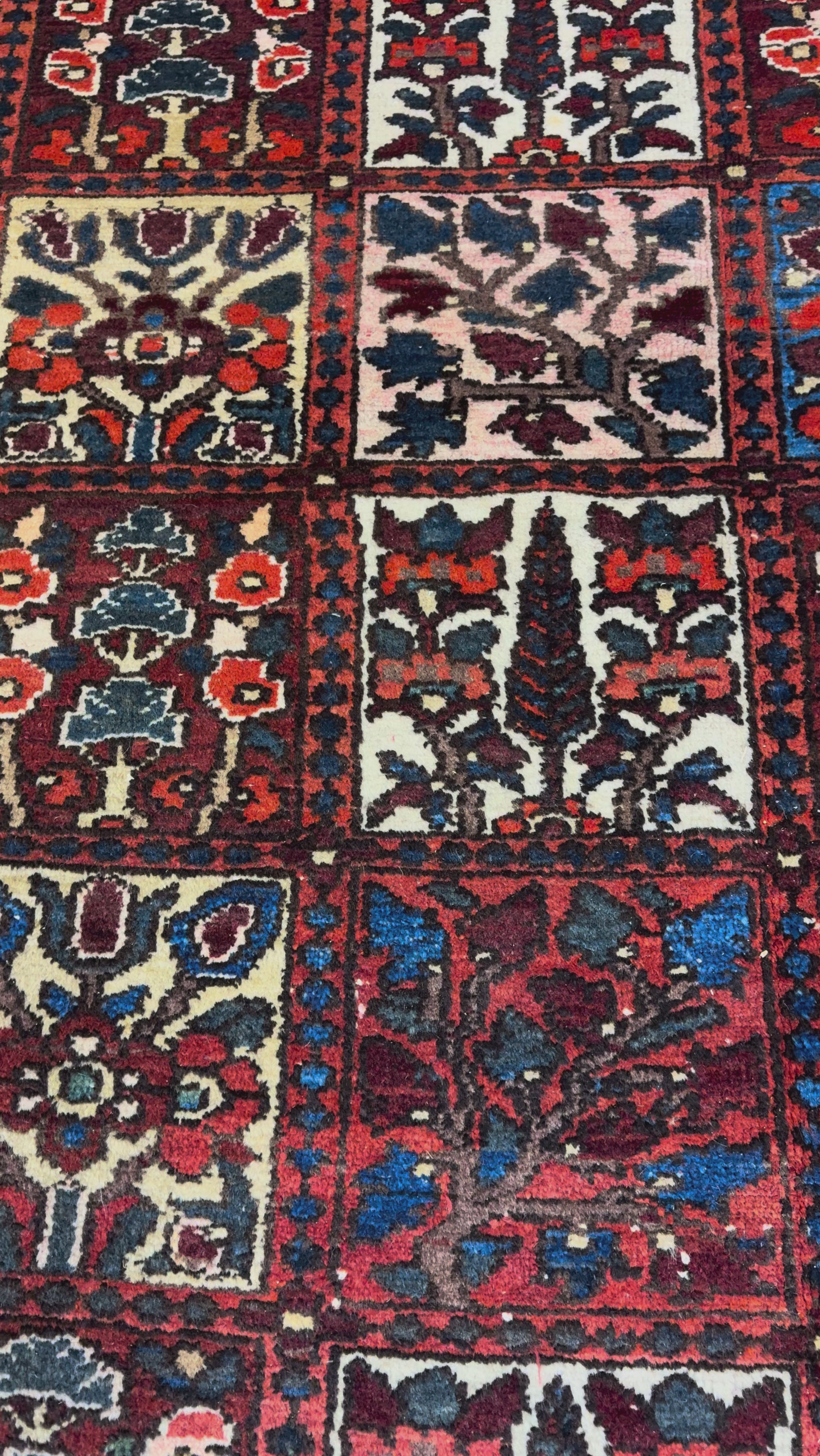 Vintage Shalamzar Bakhtiari Wool Rug. Original rug video; SKU EE 32215; source IMG_7429.
