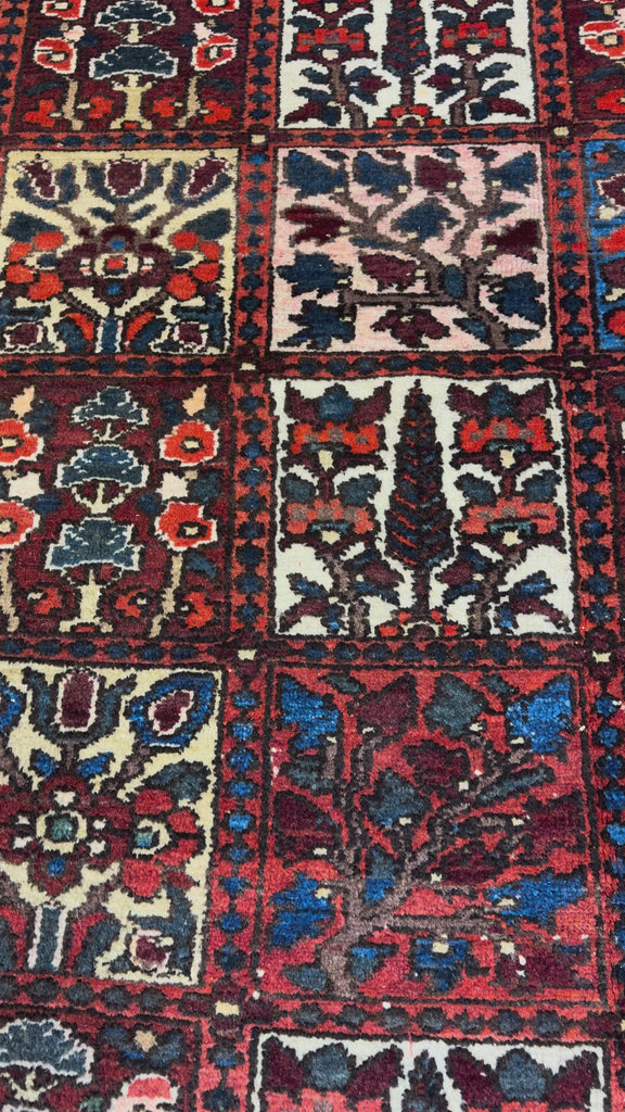 Vintage Shalamzar Bakhtiari Wool Rug. Original rug video; SKU EE 32215; source IMG_7429.