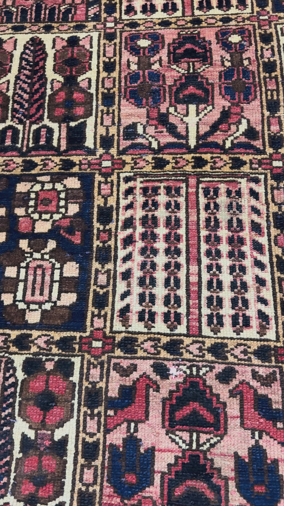 Persian Shalamzar Bakhtiari Rug, original product video 2. SKU RR 32416.