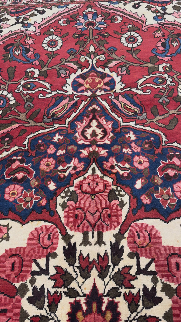 Vintage Chaleshtor Bakhtiari Wool Rug. Original rug video; SKU EE 1.1547; source IMG_7305.