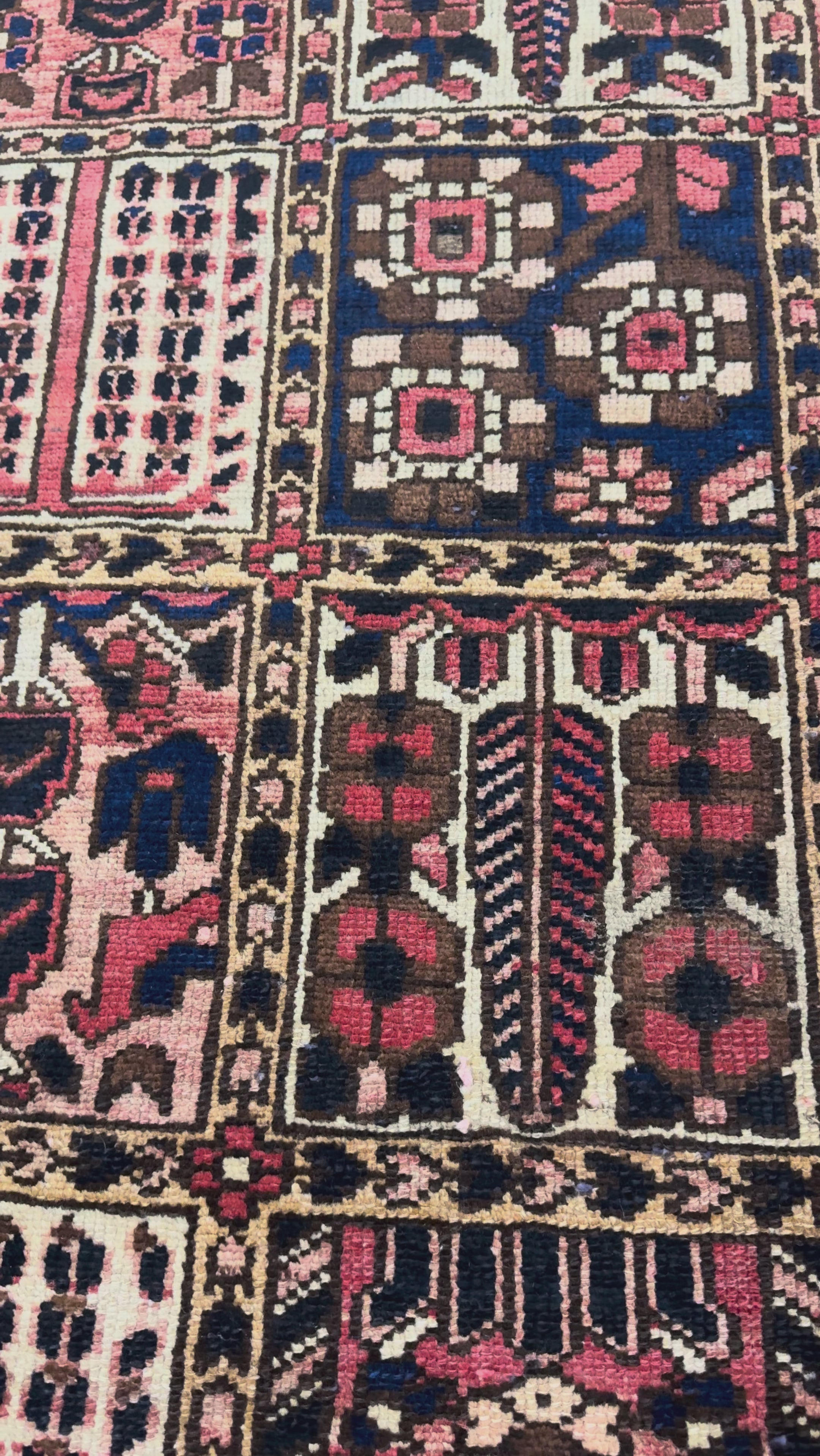 Persian Shalamzar Bakhtiari Rug, original product video 1. SKU RR 32416.