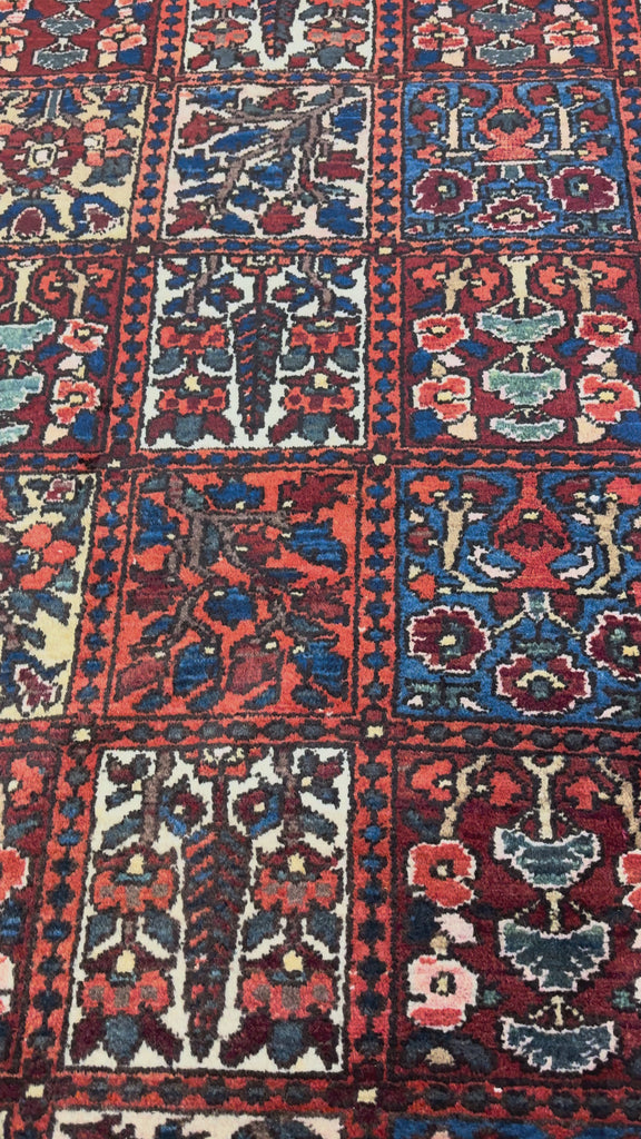Vintage Shalamzar Bakhtiari Wool Rug. Original rug video; SKU EE 32215; source IMG_7435.