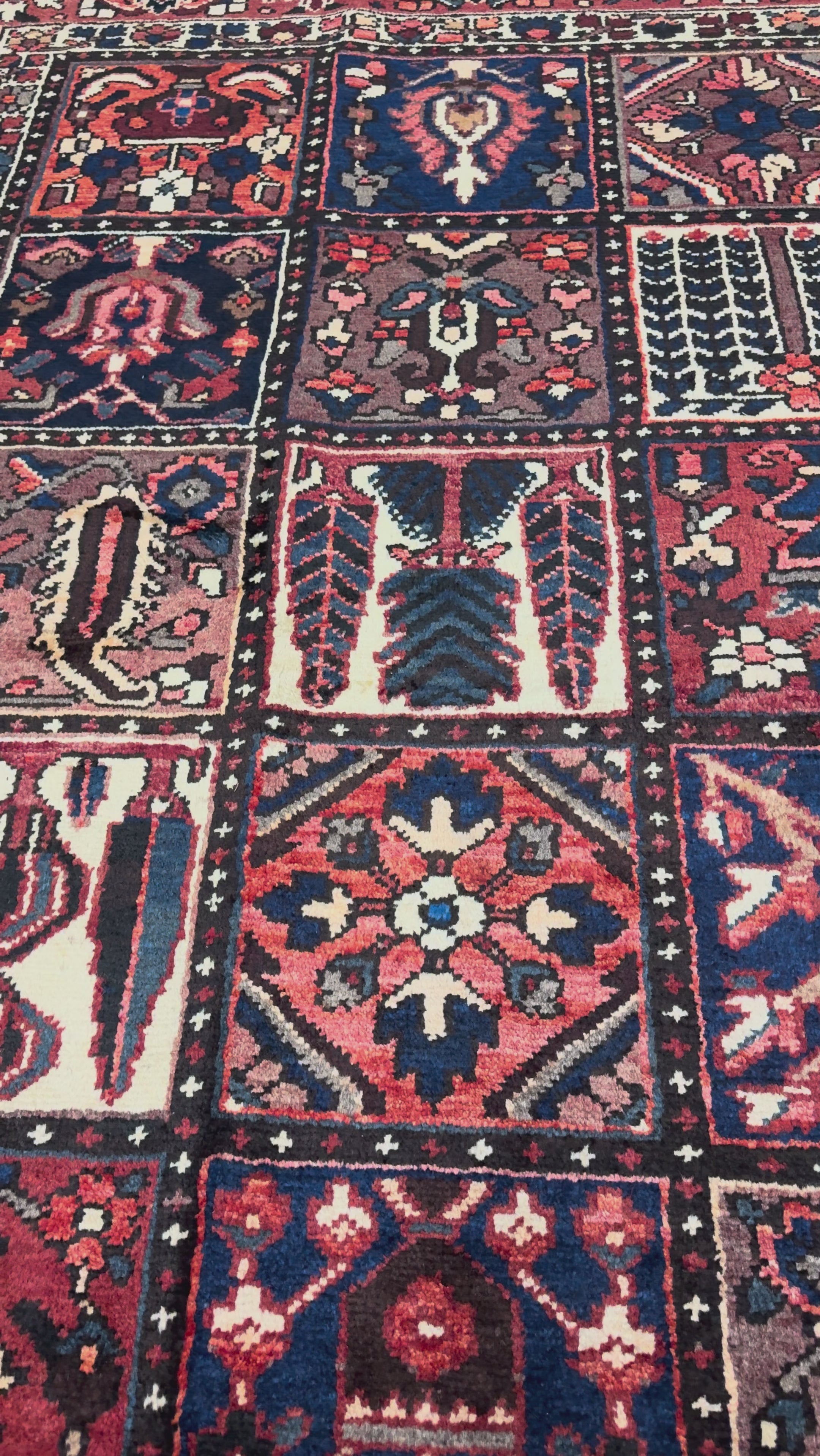Bakhtiari hand-knotted rug, original video RR 32608 2.mov