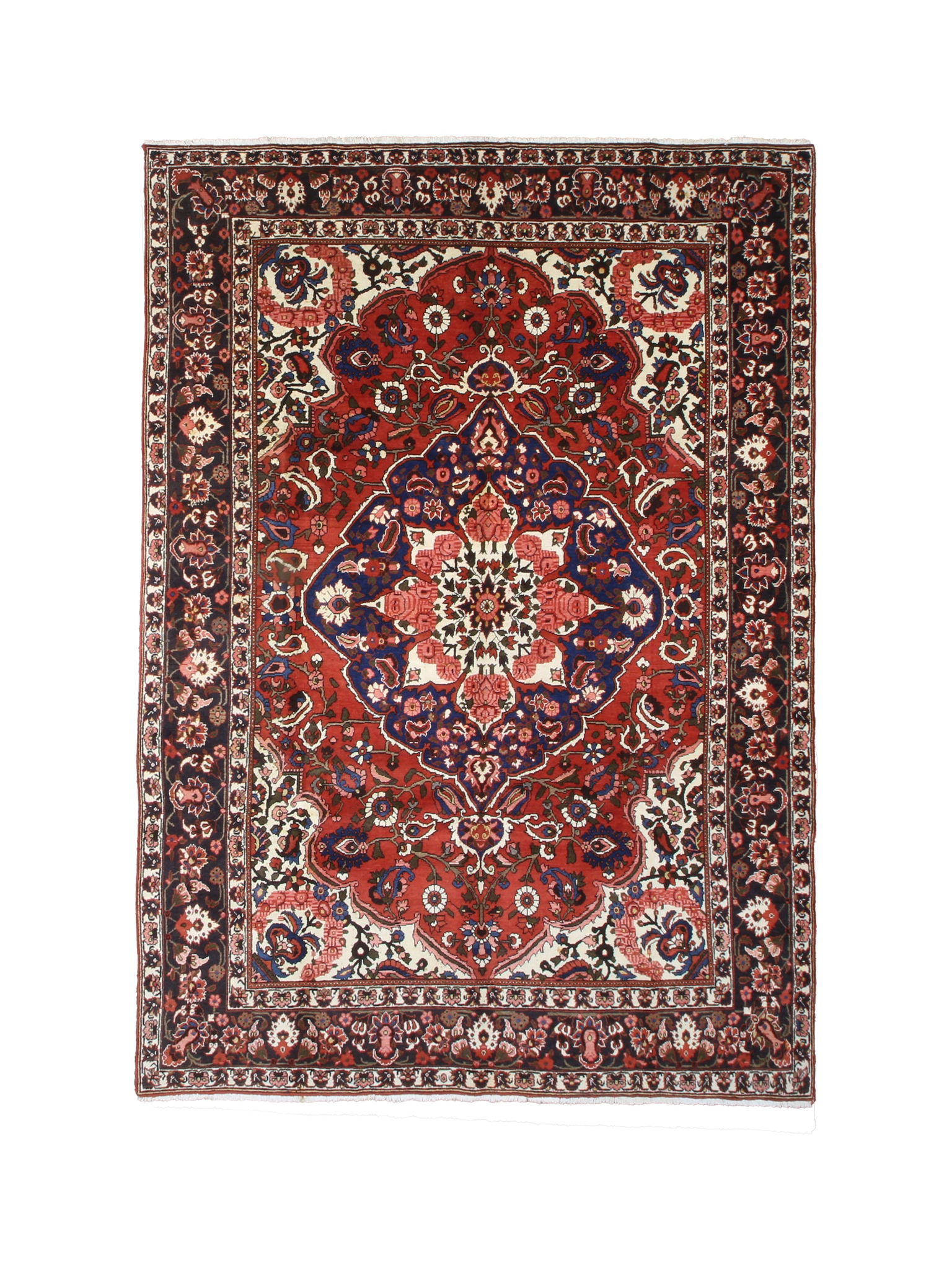 Vintage Chaleshtor Bakhtiari Wool Rug, full rug top view on white background. Additional product photograph; SKU EE 1.1547.