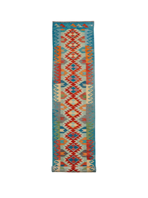 Red & Cream Medallions with Blue Borders | 2'7" × 16'1" (80 × 489 cm)